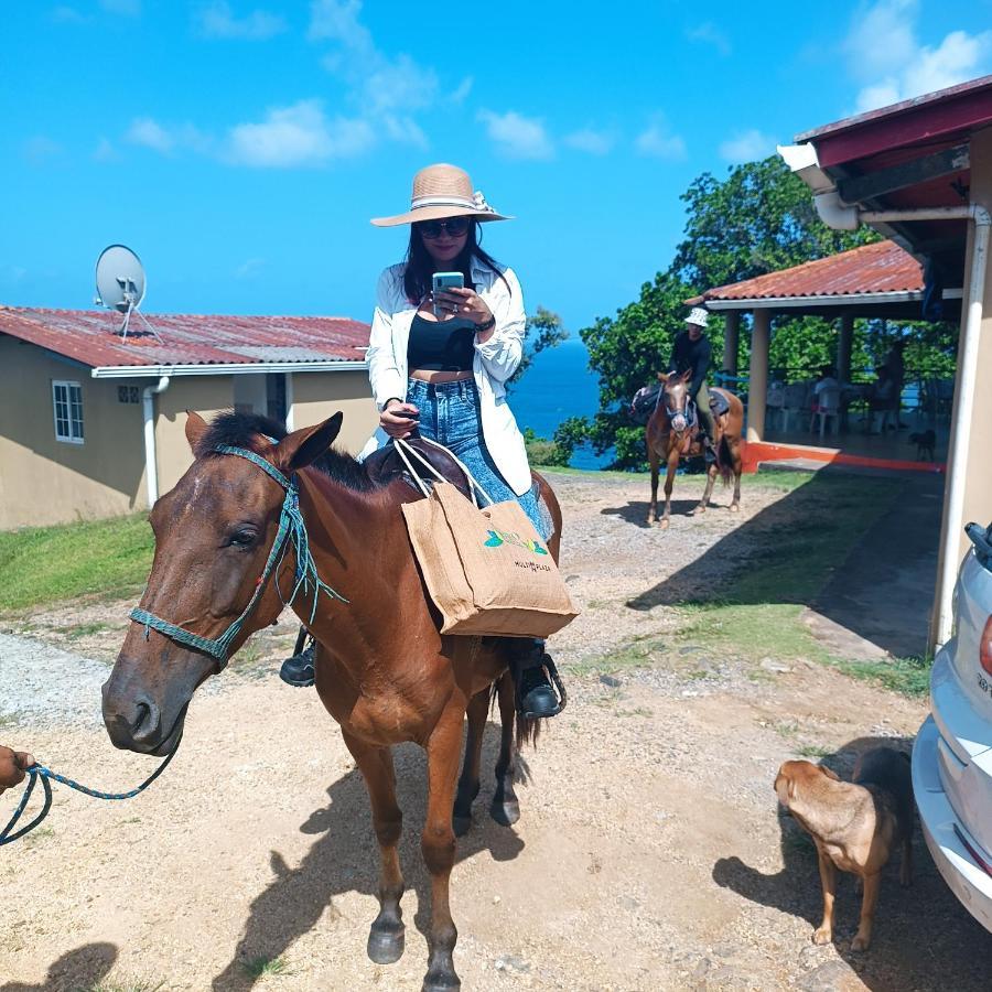 Rancho Juancho Hotel Portobelo Eksteriør billede