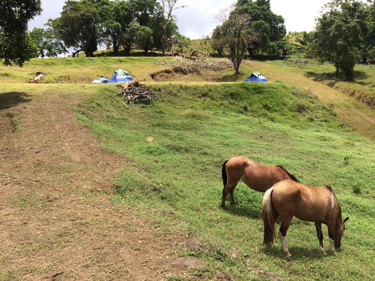 Rancho Juancho Hotel Portobelo Eksteriør billede