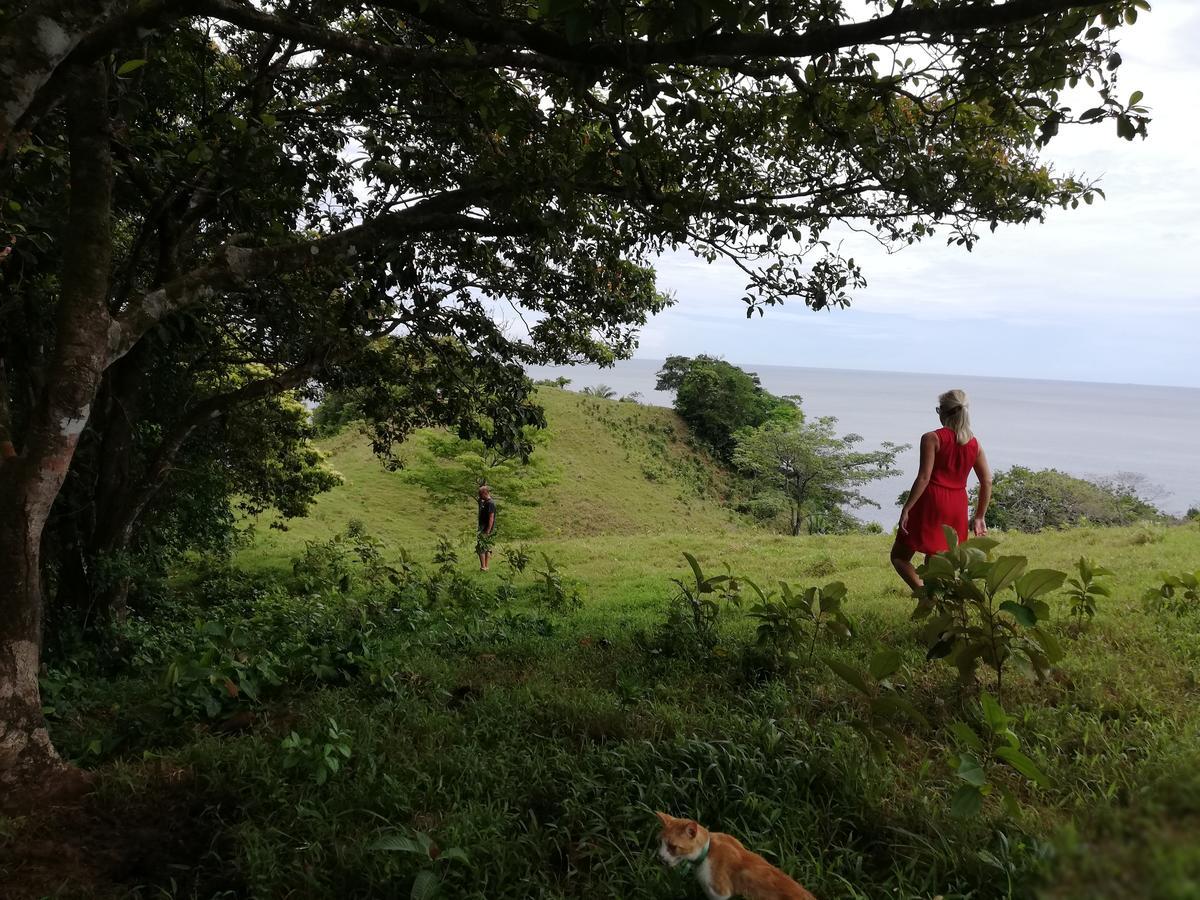 Rancho Juancho Hotel Portobelo Eksteriør billede