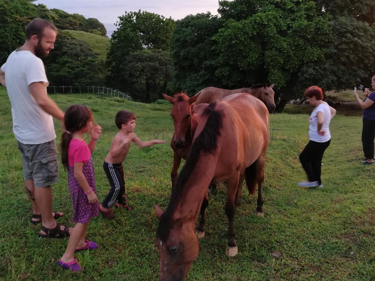 Rancho Juancho Hotel Portobelo Eksteriør billede