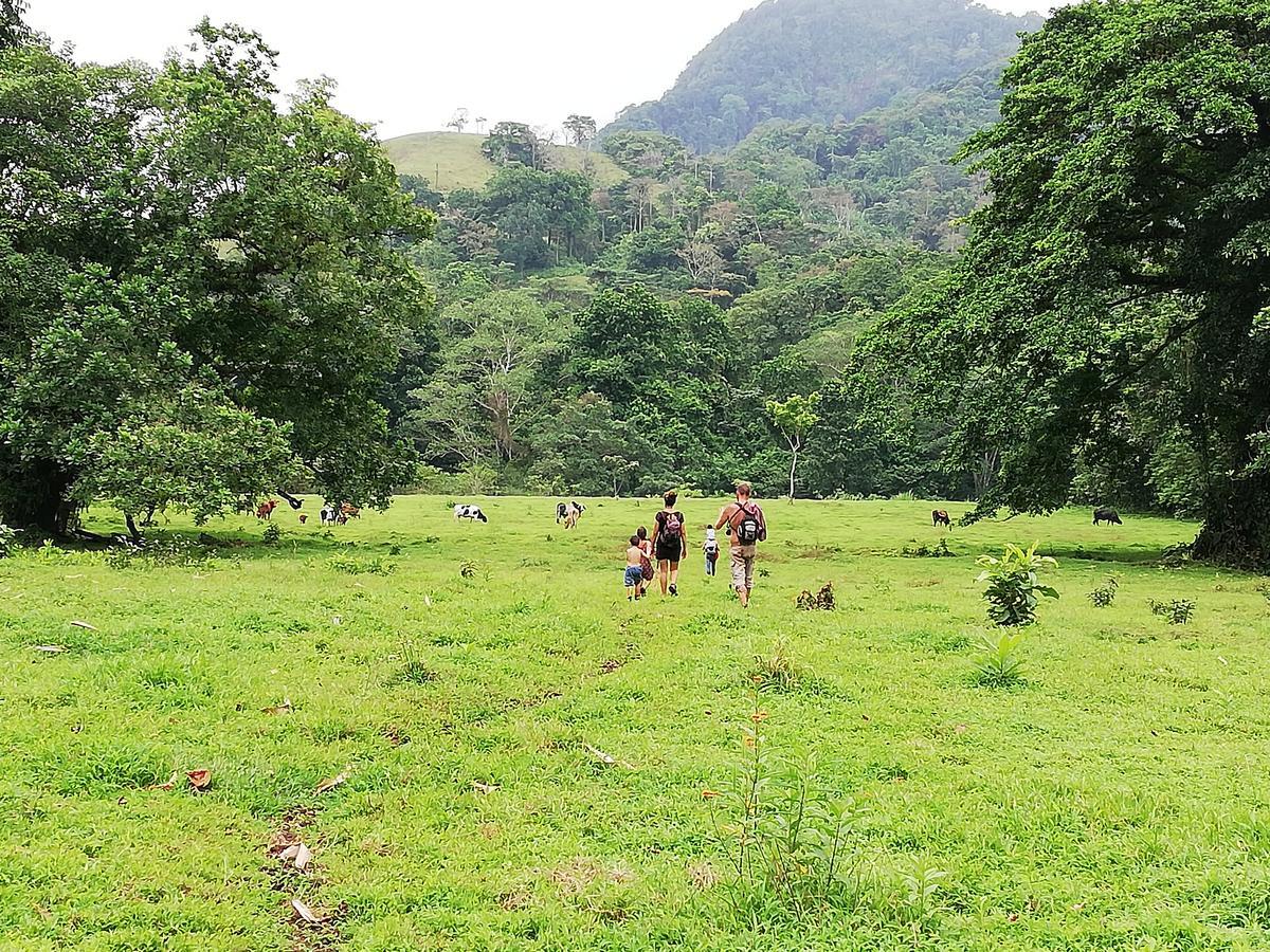 Rancho Juancho Hotel Portobelo Eksteriør billede